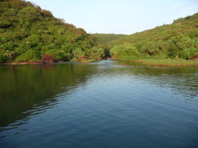 Fresh water pool Arambol India Fresh water pool