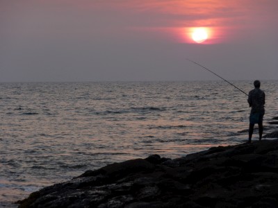 Sunset anjuna beach goa india Fishing at sunset