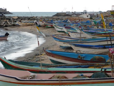 Boats in the bay India Boats in the bay