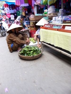 In the market In the market