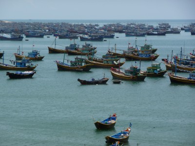Boats in the bay Boats in the bay