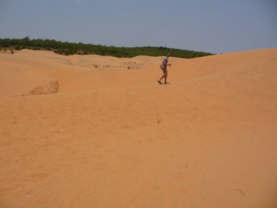 Dunes Dunes